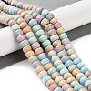 Natural Rainbow Alashan Agate Beads Strands G-NH0022-N01-01-2