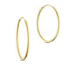 SHEGRACE 925 Sterling Silver Hoop Earrings JE670B-03