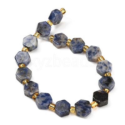 Natural Blue Spot Jasper Beads Strands G-F833-B16-01-1