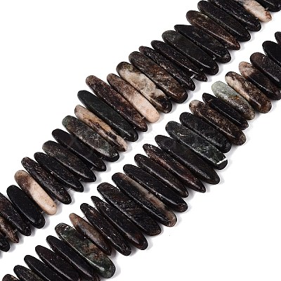 Natural Biotite Beads Strands G-Q616-06A-1