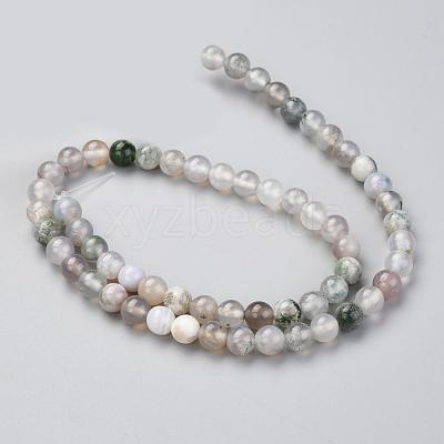 Natural Tree Agate Beads Strands G-I199-03-6mm-1
