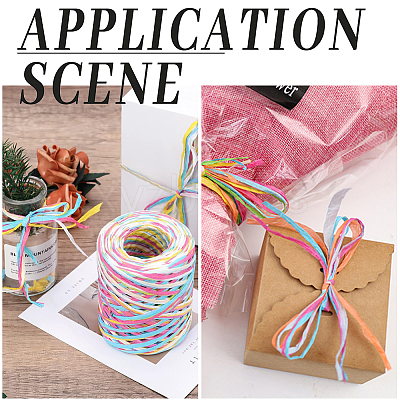 Segment Dyed Raffia Paper Cords for DIY Craft OCOR-WH20020-27C-1