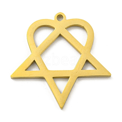 304 Stainless Steel Pendants STAS-R228-03G-1