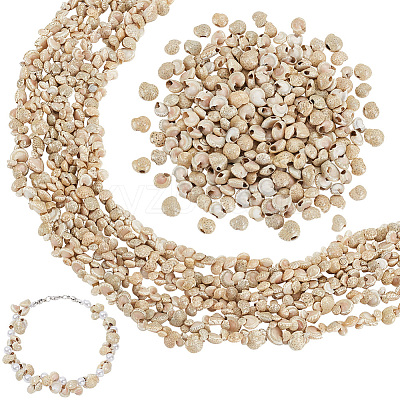 4 Strands Natural Shell Beads Strands BSHE-PH0001-37-1