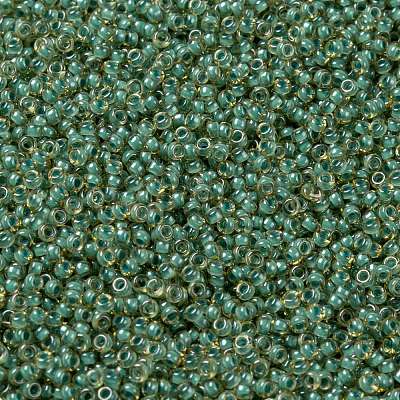 MIYUKI Round Rocailles Beads SEED-X0056-RR0374-1