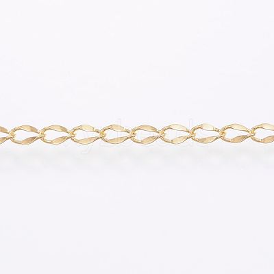 3.28 Feet Handmade Ion Plating(IP) 304 Stainless Steel Twisted Chain Curb Chains X-CHS-H007-57B-1