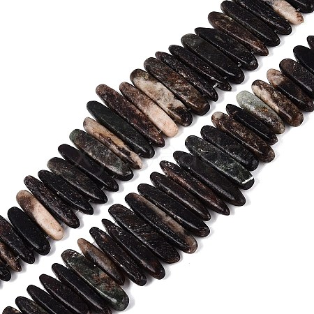Natural Biotite Beads Strands G-Q616-06A-1