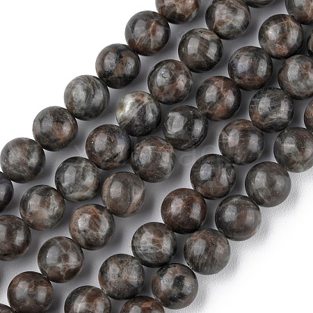 Natural Labradorite Beads Strands G-G0003-C03-1