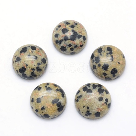 Natural Dalmatian Jasper Cabochons X-G-P393-R33-12mm-1