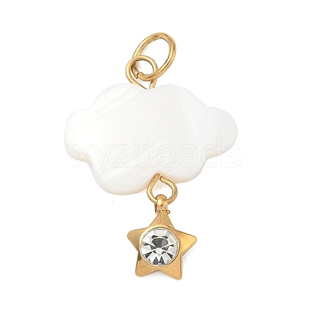 304 Stainless Steel Acrylic Pendants RB-CBA4D1F-13G-A-1