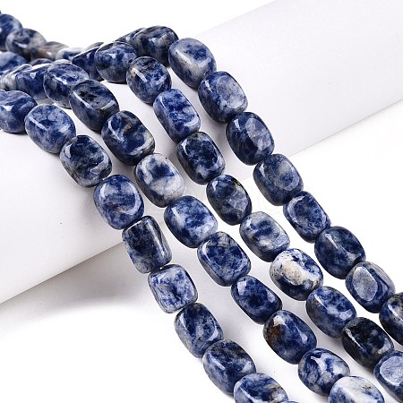 Natural Blue Spot Jasper Beads Strands G-T138-101-1