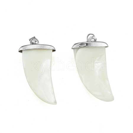 Natural Trochid Shell/Trochus Shell Pendants SSHEL-G024-06P-1