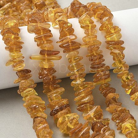 Natural Amber Beads Strands G-L095-D01-06-1