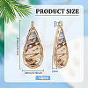 BENECREAT 12Pcs Alloy Resin Pendants with Natural Paua Shell FIND-BC0005-53-2