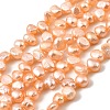 Natural Cultured Freshwater Pearl Beads Strands PEAR-I007-03B-01C-2