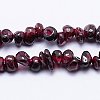 Natural Garnet Beads Strands LS-G-D411-01-2