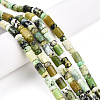 Natural Serpentine Beads Strands G-N346-03A-04-1