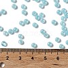 Glass Seed Beads SEED-H002-E-A1411-4