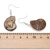 Fossil Spiral Dangle Earrings EJEW-P153-01-3