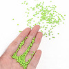 11/0 Grade A Baking Paint Glass Seed Beads X-SEED-N001-A-1024-4