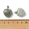 Natural Labradorite Pendants G-F820-10A-06-3
