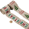 Gorgecraft 2 Rolls 2 Styles Christmas Printed Linen Ribbon OCOR-GF0002-72-3