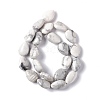 Natural Howlite Beads Strands G-L242-13-3