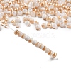 Glass Seed Beads GLAA-Q096-01F-4