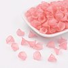 Transparent Acrylic Beads PL622-C10-3