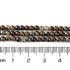 Natural Pietersite Beads Strands G-K365-C03-01-5