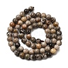 Natural Fossil Coral Beads Strands G-G212-6mm-31-4