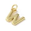 Rack Plating Brass Charms KK-P245-06G-W-2