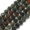 Natural Bloodstone Beads Strand G-I376-A16-01-1