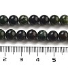 Natural Canadian Jade Beads Strands G-NH0029-01A-5