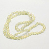 Electroplate Glass Beads EGLA-D028-21-2