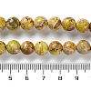 Dyed Natural Regalite/Imperial Jasper/Sea Sediment Jasper Beads Strands G-B124-C01-07-5