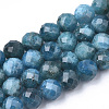 Natural Apatite Beads Strands G-S345-6mm-008-1