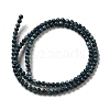 Natural Freshwater Shell Beads Strands SHEL-H003-03C-2