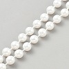 ABS Plastic Pearl Chains KY-WH0036-133C-1