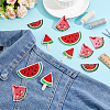 20Pcs 4 Styles Watermelon Nylon Computerized Embroidery Cloth Iron on/Sew on Patches DIY-HY0002-87-4