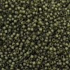 MIYUKI Delica Beads X-SEED-J020-DB2404-2