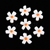 Natural Freshwater Shell Beads Strands X-SHEL-F004-04-01-2