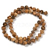 Natural Picture Jasper Beads Strands G-A257-A21-01-3