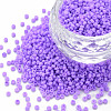 13/0 Glass Seed Beads SEED-T005-14A-A17-1