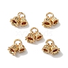 Rack Plating Brass Charms KK-C020-02LG-3