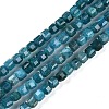 Natural Apatite Beads Strands G-P553-E03-02-1