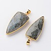 Mixed Shapes Natural Labradorite Pendants G-M294-M-3