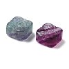 Natural Fluorite Beads G-M088-03-2