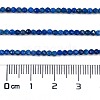 Natural Lapis Lazuli Beads Strands G-L587-A03-01-4