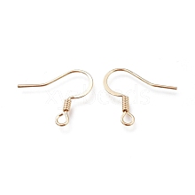 Brass Earring Hooks KK-H102-01G